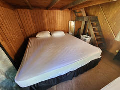 The Greenhouse (2/2)