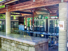 Outdoor Kitchen